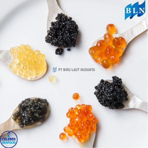 The Difference Between Caviar and Other Types of Fish Roe